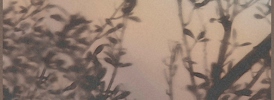 Between Worlds: Photographic Works by Ben Brown